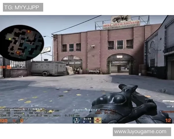 王丽专访：从新手到高手的CSGO成长之路与心路历程分享